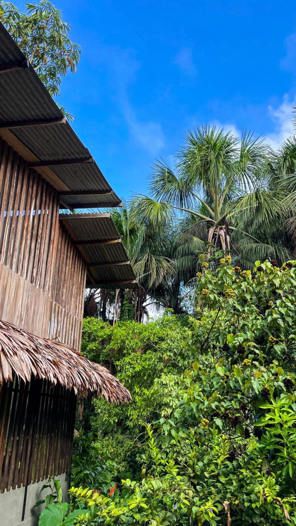 Amazona Lodge Leticia Exterior photo
